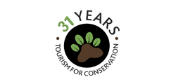 31 Years Logo